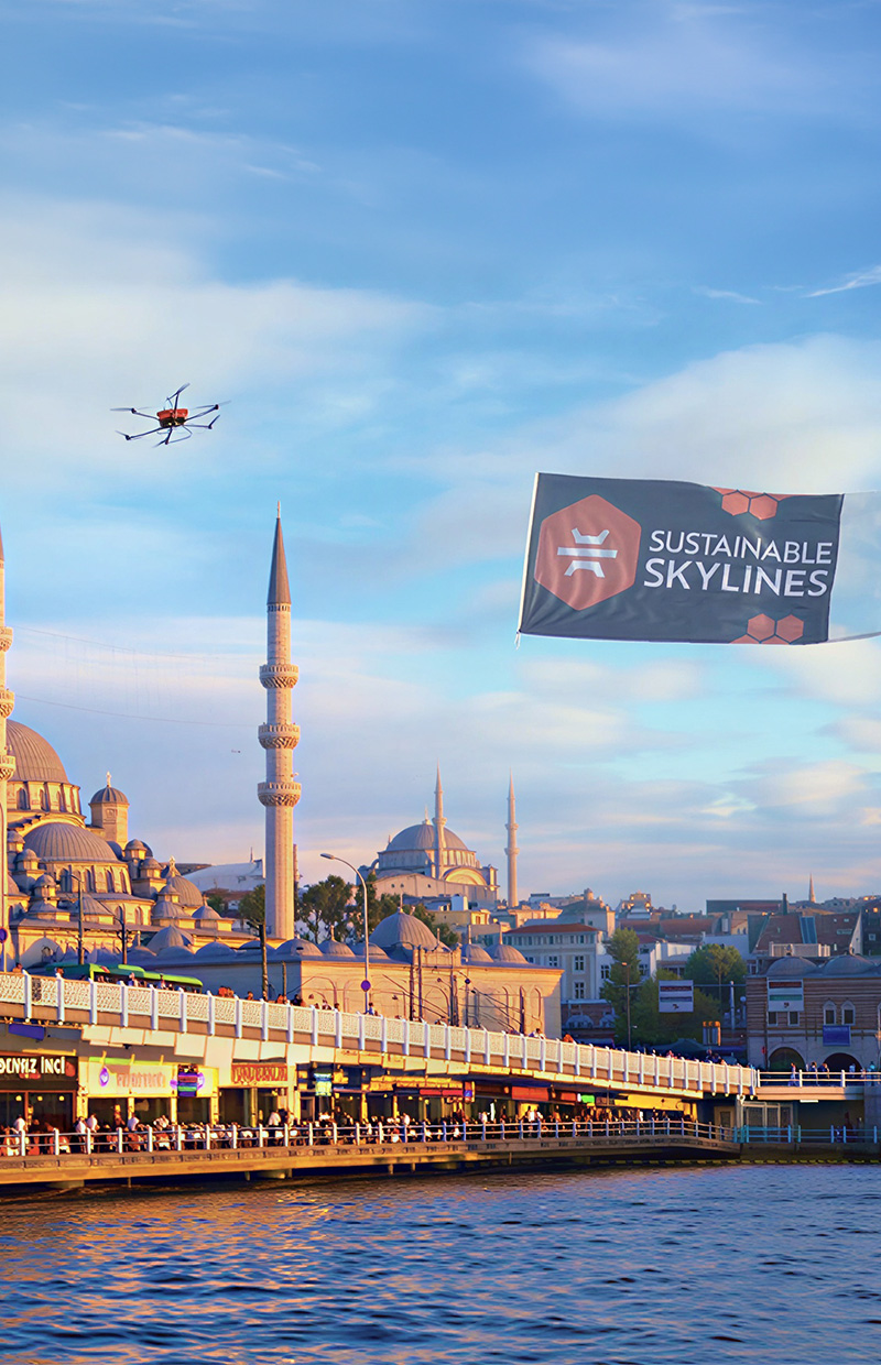 Aerial Mapping & Surveying